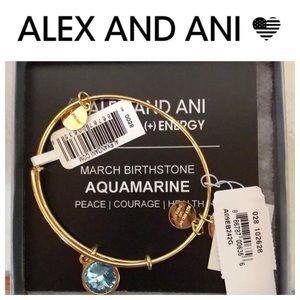 💥💥BRAND NEW Aquamarine Alex and ani bracelet
